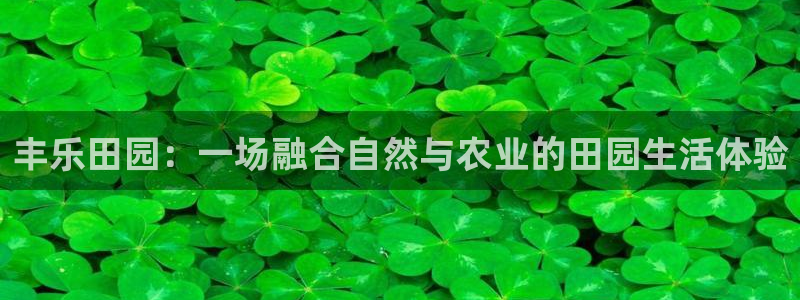 泉州摩根会娱乐会所地址