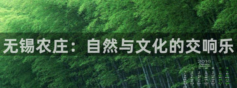 摩根娱乐50186