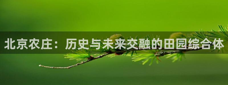 摩根娱乐50186联系