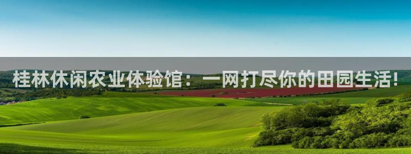 摩根 娱乐宝诈骗