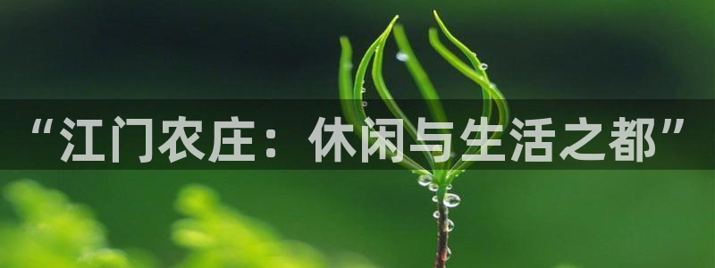 摩根士丹利娱乐银行