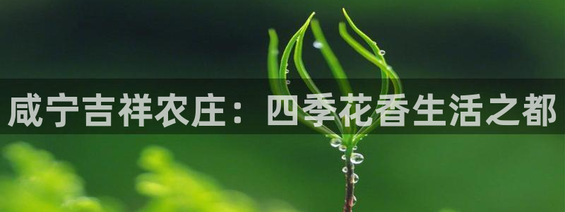 泉州摩根会娱乐邮箱