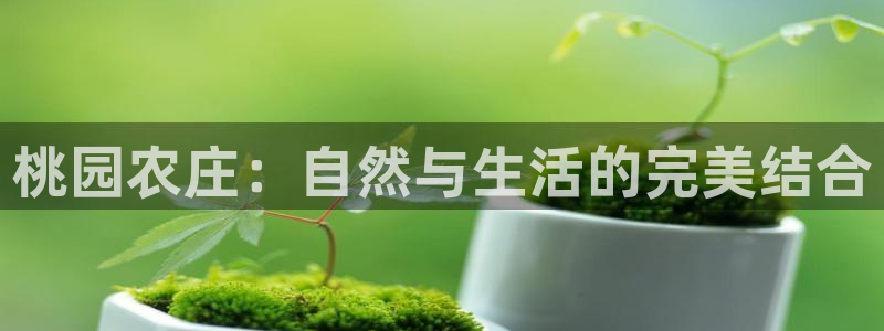 摩根娱乐50186叩