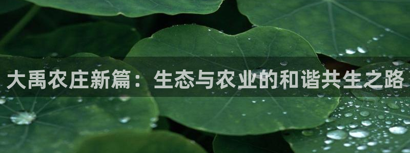 摩根大通收购娱乐公司