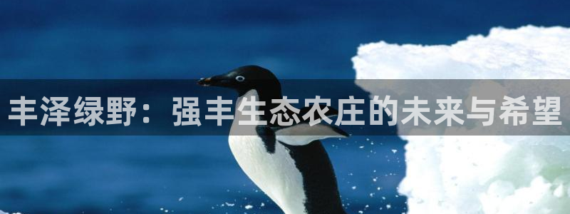 摩根娱乐宝的真假