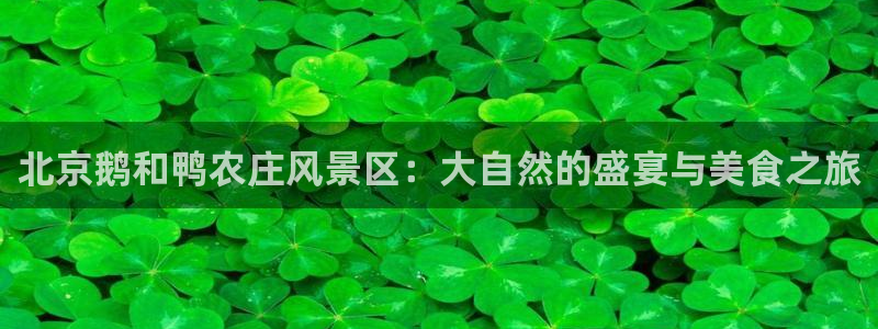 摩根娱乐询问市场总监86738k