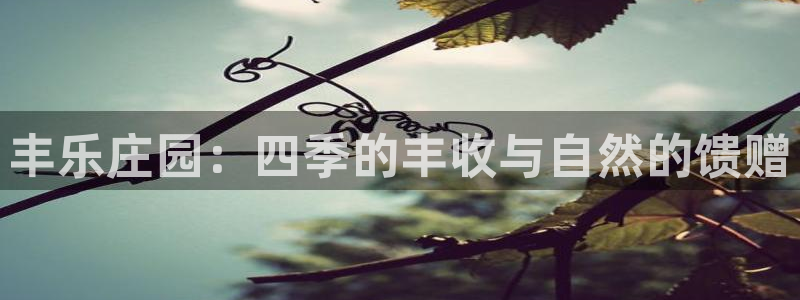 摩根娱乐创始人