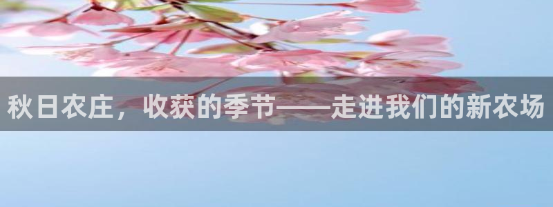 摩根娱乐帐7O777