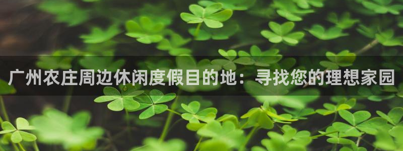 摩根国际 亚太 娱乐宝