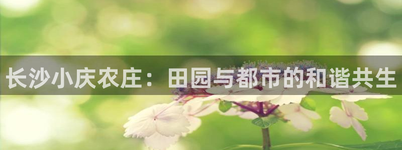 摩根娱乐询问市场总监86738k