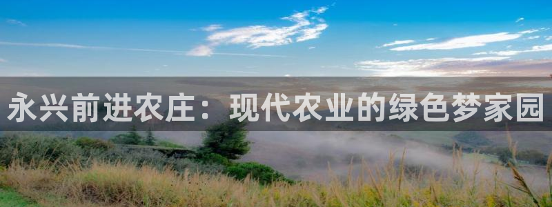 摩根士丹利凯撒娱乐
