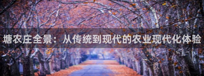 泉州摩根会娱乐张桂花