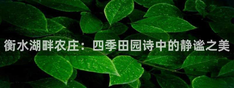 摩根娱乐宝怎么样