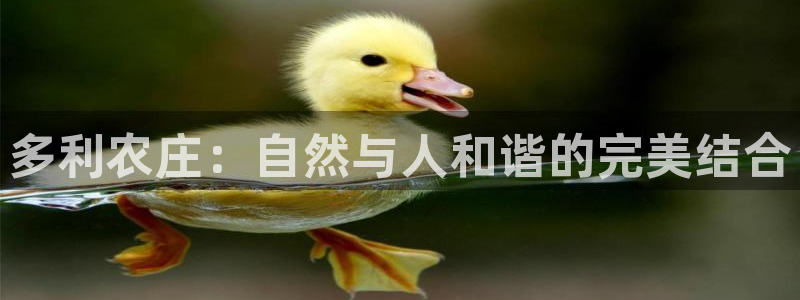 摩根大通会员买金沙娱乐