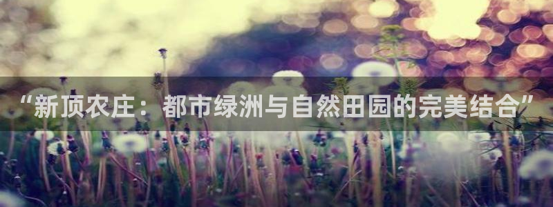 泉州摩根会娱乐场所