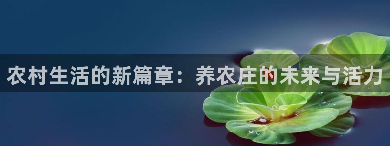 华视娱乐 摩根 王琛