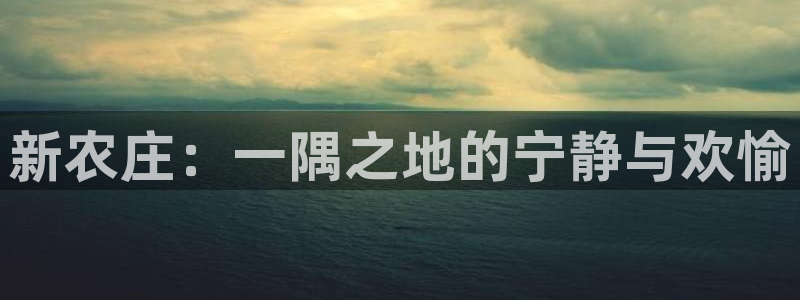 白宫摩根会娱乐有限公司