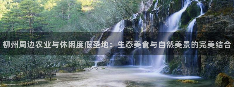 上投摩根娱乐