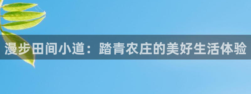 漳州摩根会娱乐