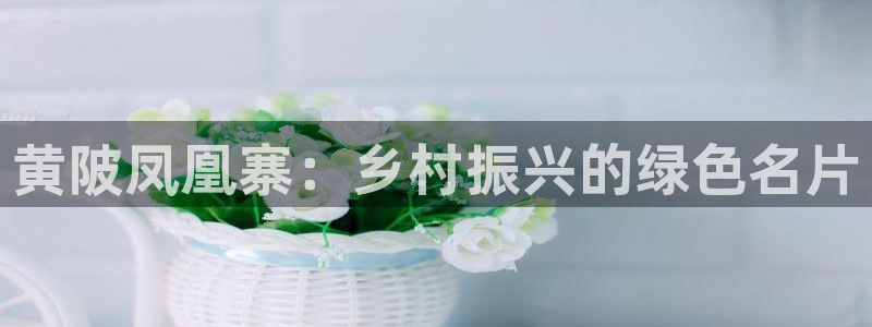摩根娱乐L老L板50820