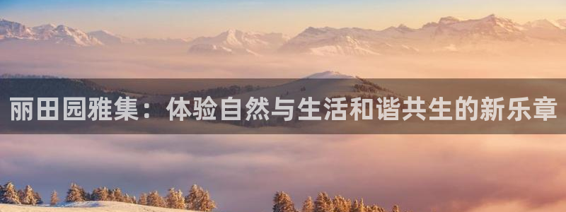 摩根娱乐宝机构代码