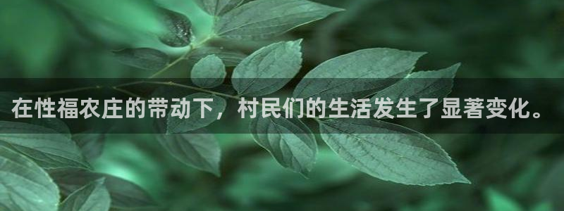 摩根娱乐包是什么意思