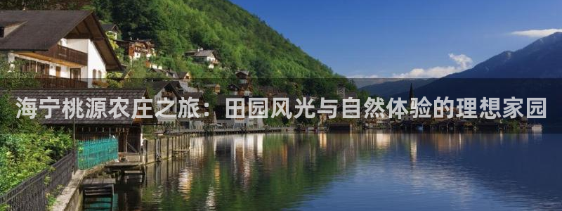摩根娱乐开户总s管50015 18