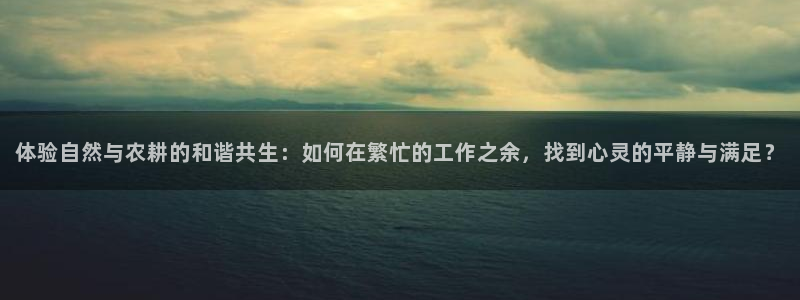 摩根娱乐 实c力77310