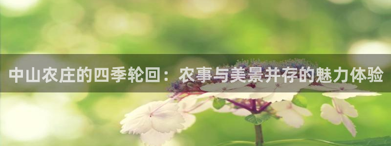 泉州摩根娱乐会所电话号码