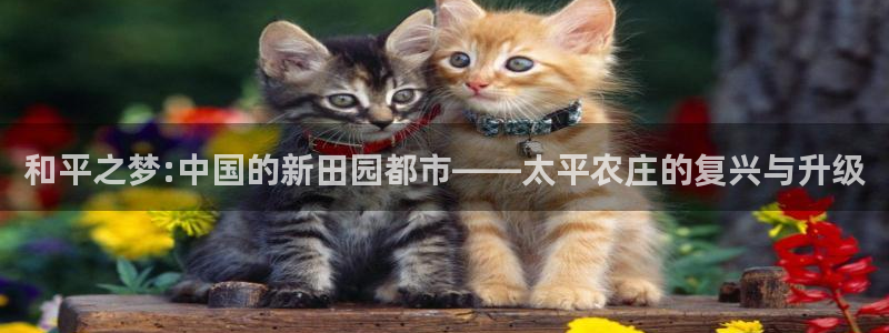 摩根娱乐宝怎样拉下线