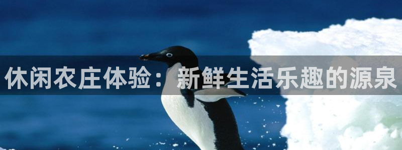 摩根娱乐宝收益怎么样
