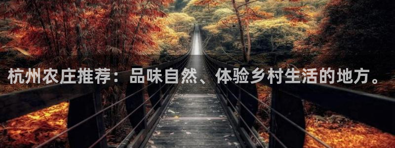摩根国际娱乐宝官网