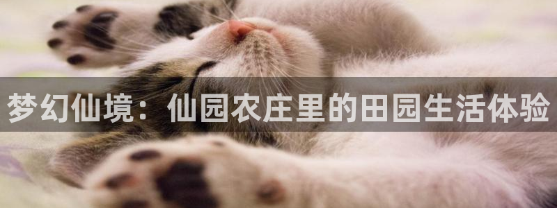 摩根娱乐宝机构代码