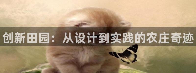 摩根娱乐彩票挂机