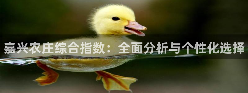 摩根娱乐主管