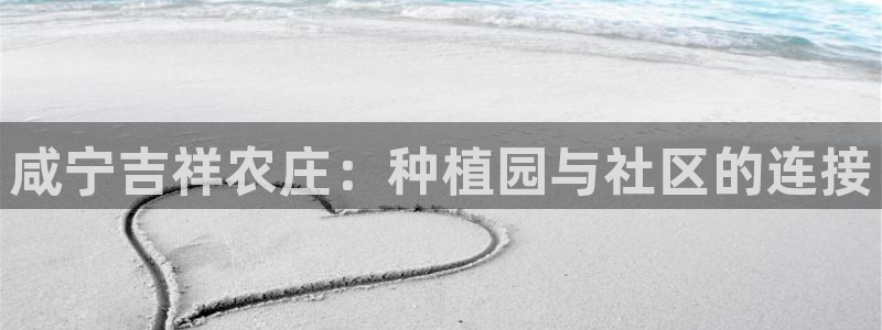 摩根娱乐公司