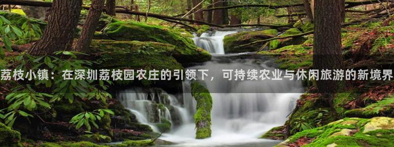 主角是摩根家族的娱乐文