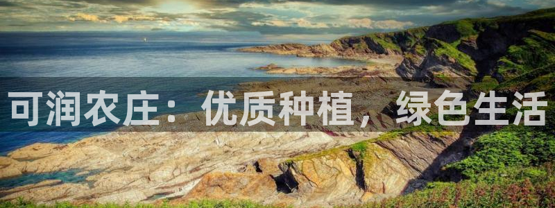 摩根娱乐挂机项目有哪些