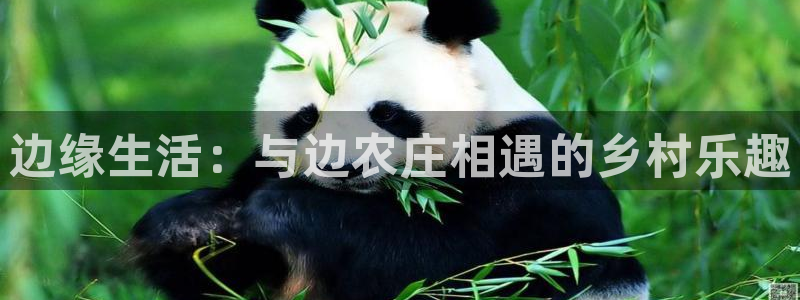 摩根国际娱乐宝下载