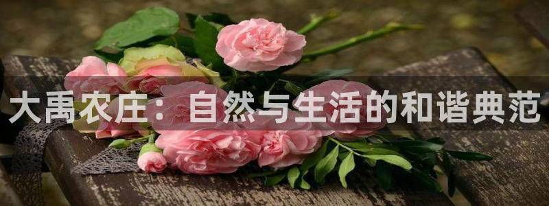 摩根娱乐挂机项目有哪些
