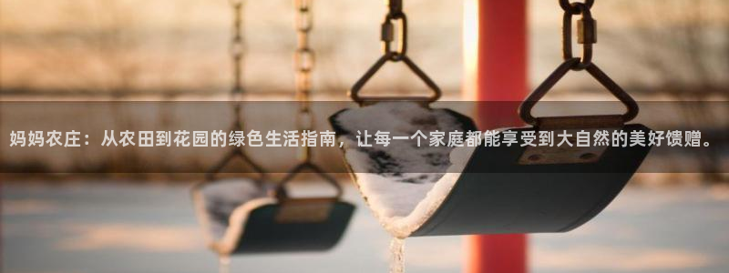摩根娱乐宝机怎么玩