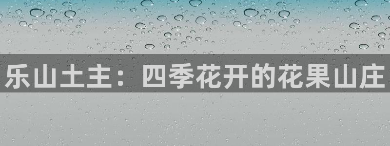 摩根娱乐宝的代理方式