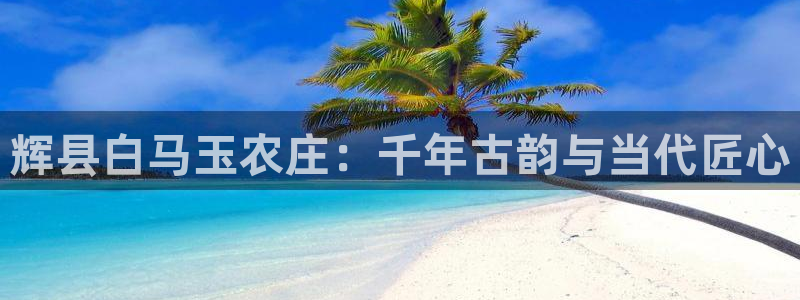 摩根娱乐外汇