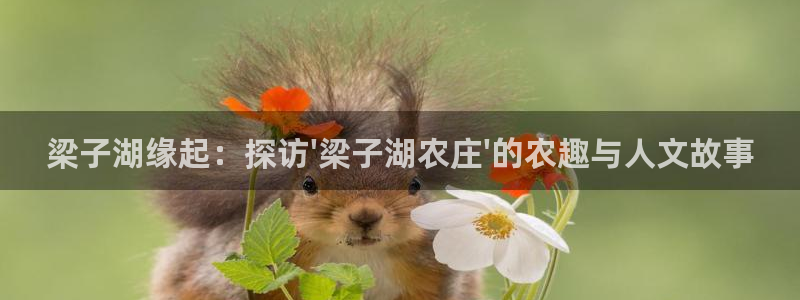 摩根国际娱乐宝下载