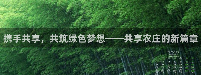 娱乐解说摩根
