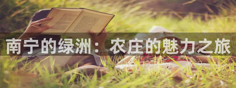 摩根娱乐宝官网