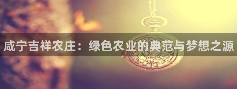 摩根娱乐宝软件下载
