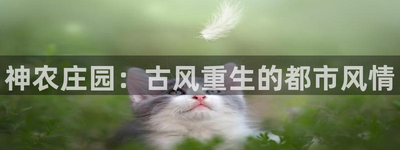 摩根娱乐宝诈骗