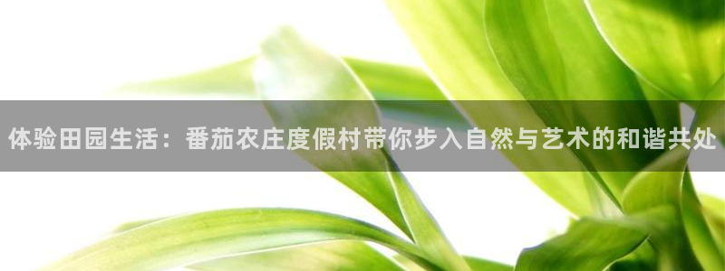 摩根娱乐宝微交易