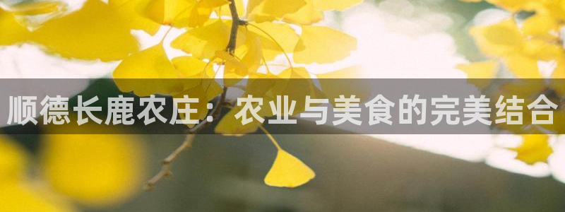 重生娱乐美日混血摩根